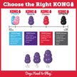 Show in main carousel: KONG Puppy Chew Dog Toy, Blue, Medium slide 6 of 9