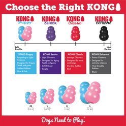 KONG Puppy Chew Dog Toy, Blue, Small slide 2 of 6