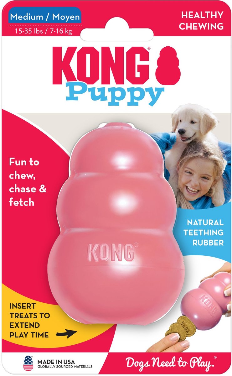 KONG Puppy Chew Dog Toy