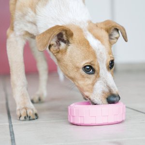 KONG Puppy Tires Dog Toy, Color Varies, Small
