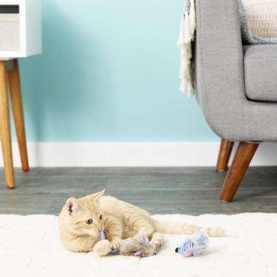 Show full view: KONG Refillable Frosty Mice Catnip Cat Toy slide 4 of 6