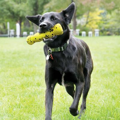 Show full view: KONG Reflex Stick Dog Toy, Yellow, Medium slide 4 of 5