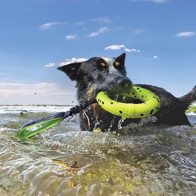 Show full view: KONG Reflex Tug Dog Toy, Yellow, Medium slide 5 of 6