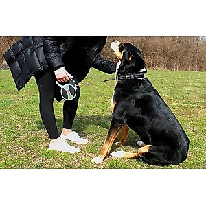 KONG Retractable Explore Reflective Retractable Dog Leash, Grey, Large: 24-ft long, 0.6-in wide