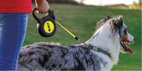 Show full view: KONG Retractable Reflect Reflective Retractable Dog Leash, Black, Medium: 16-ft long, 7/16-in wide slide 2 of 6