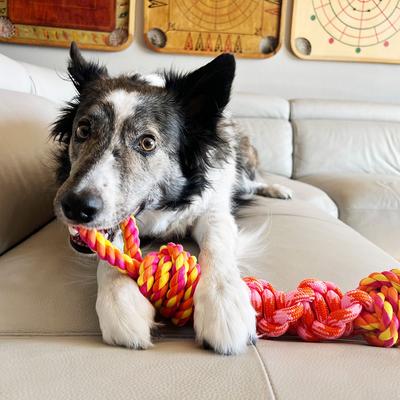 Show full view: KONG Rope Bunji Dog Toy, Large slide 5 of 6