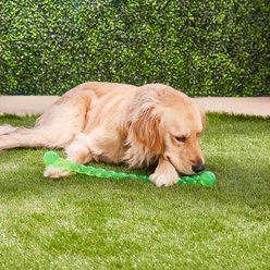 KONG Safestix Dog Toy, Color Varies, Medium slide 2 of 6