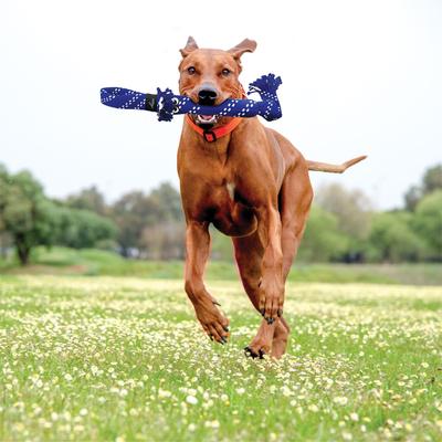 Show full view: KONG Scrubz Dog Toy, Large, Color Varies slide 3 of 9