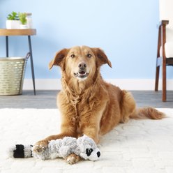 KONG Scrunch Knots Raccoon Dog Toy, Medium/Large slide 2 of 6