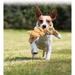 Show in main carousel: KONG Scrunch Knots Raccoon Dog Toy, Medium/Large slide 5 of 8