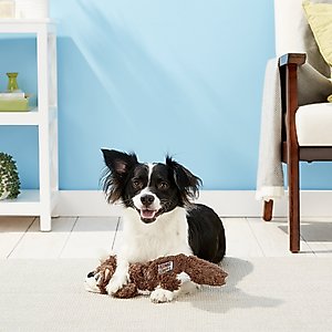 KONG Scrunch Knots Squirrel Dog Toy, Medium/Large
