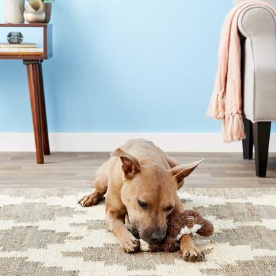 Show full view: KONG Scrunch Knots Squirrel Dog Toy, Small/Medium slide 6 of 9