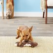 Show in main carousel: KONG Scrunch Knots Squirrel Dog Toy, Small/Medium slide 6 of 8