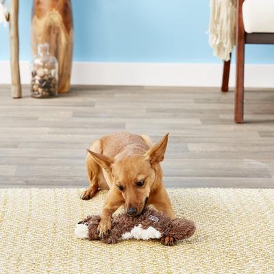 Show full view: KONG Scrunch Knots Squirrel Dog Toy, Small/Medium slide 7 of 9