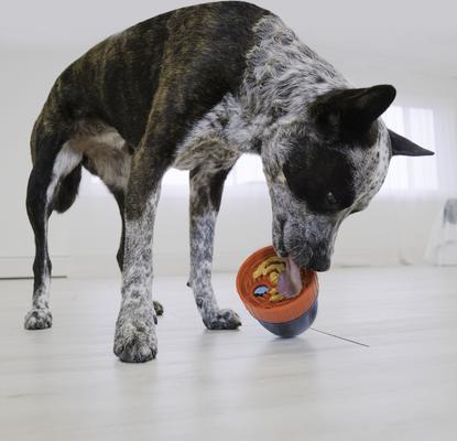 Show full view: KONG Scuttle Pod Dog Treat Dispensers Toy, Blue, Large slide 6 of 8