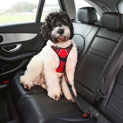 KONG Seat Belt Dog Tether slide 2 of 7