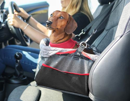 Show full view: KONG Secure Dog Booster Seat slide 5 of 8