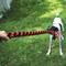 Show in main carousel: KONG Signature Mega Dual Knot Tug Rope Dog Toy slide 3 of 5