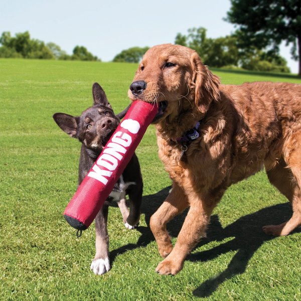 Show full view: KONG Signature Stick Dog Toy, Large slide 3 of 6