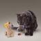 Show in main carousel: KONG Softies Buzzy Llama Cat Toy slide 3 of 5
