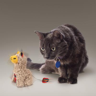 Show full view: KONG Softies Buzzy Llama Cat Toy slide 3 of 5