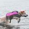 Show in main carousel: KONG Sport AquaPro Dog Flotation Vest, Pink, Large slide 6 of 7
