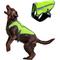 Show in main carousel: KONG Sport Kool Polyster Dog Safety Vest, Neon Yellow, Large slide 1 of 6