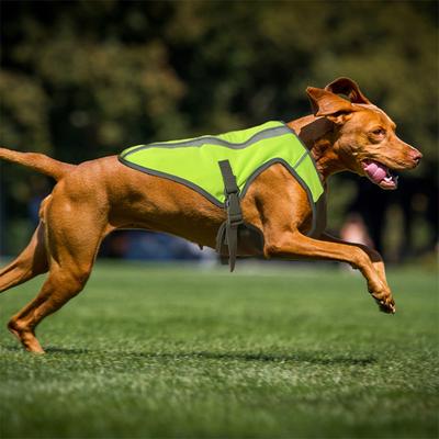 Show full view: KONG Sport Kool Polyster Dog Safety Vest, Neon Yellow, Large slide 6 of 6