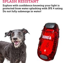 KONG Sport Light, Red slide 2 of 7