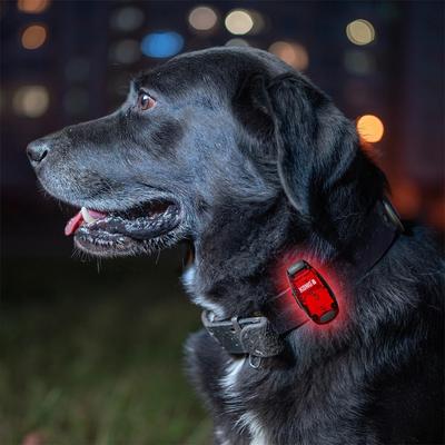 Show full view: KONG Sport Light, Red slide 7 of 7