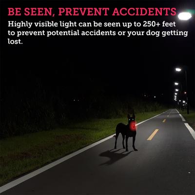 Show full view: KONG Sport Light, Red slide 4 of 7