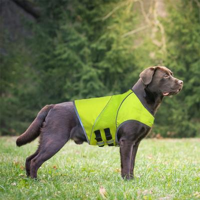 Show full view: KONG Sport Mountain Polyster Dog Safety Vest, Neon Yellow, X-Small slide 6 of 8