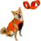 Show in main carousel: KONG Sport Trigger Polyster Dog Safety Vest, Blaze Orange, Large slide 1 of 8