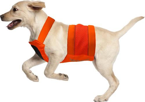 Show full view: KONG Sport Trigger Polyster Dog Safety Vest, Blaze Orange, Large slide 6 of 8