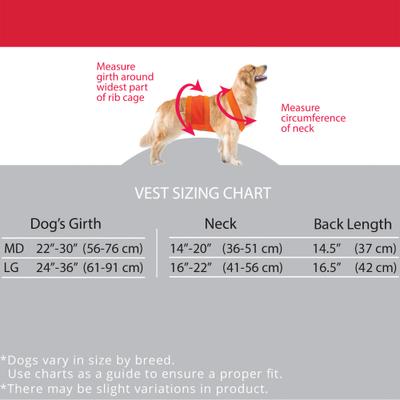 Show full view: KONG Sport Trigger Polyster Dog Safety Vest, Blaze Orange, Large slide 2 of 8