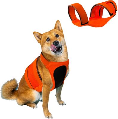 Show full view: KONG Sport Trigger Polyster Dog Safety Vest, Blaze Orange, Medium slide 1 of 8