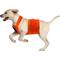 Show in main carousel: KONG Sport Trigger Polyster Dog Safety Vest, Blaze Orange, Medium slide 6 of 8