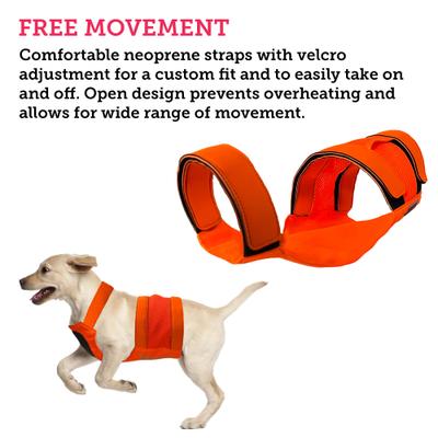 Show full view: KONG Sport Trigger Polyster Dog Safety Vest, Blaze Orange, Medium slide 5 of 8