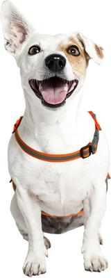 Show full view: KONG Sport Ultra Lite Polyester Dog Safety Vest, Blaze Orange, Large slide 6 of 9