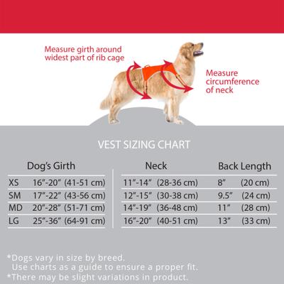 Show full view: KONG Sport Ultra Lite Polyester Dog Safety Vest, Blaze Orange, Large slide 2 of 9