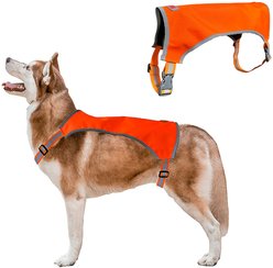KONG Sport Ultra Lite Polyester Dog Safety Vest, Blaze Orange, Small