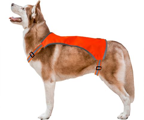 Show full view: KONG Sport Ultra Lite Polyester Dog Safety Vest, Blaze Orange, Small slide 7 of 9