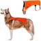 Show in main carousel: KONG Sport Ultra Lite Polyester Dog Safety Vest, Blaze Orange, X-Small slide 1 of 9