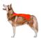 Show in main carousel: KONG Sport Ultra Lite Polyester Dog Safety Vest, Blaze Orange, X-Small slide 7 of 9