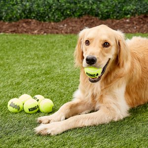 KONG SqueakAir Balls Packs Dog Toy, Medium, 6 count