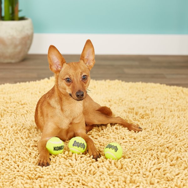 Show full view: KONG Squeakair Balls Packs Dog Toy, Small slide 3 of 9
