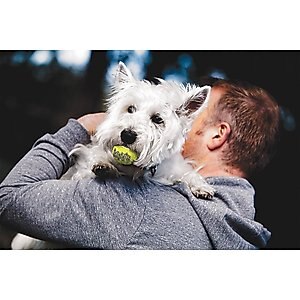 KONG Squeakair Balls Packs Dog Toy, X-Small