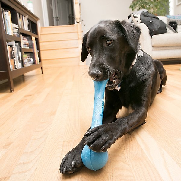Show full view: KONG SqueakStix Dog Toy, Medium slide 3 of 5