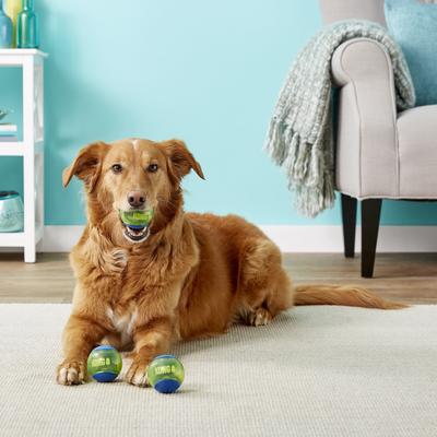 Show full view: KONG Squeezz Action Ball Dog Toy, Blue, Medium slide 4 of 8