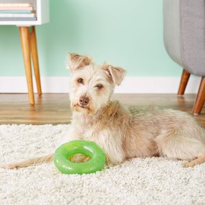 KONG Squeezz Ring Dog Toy, Color Varies, Large